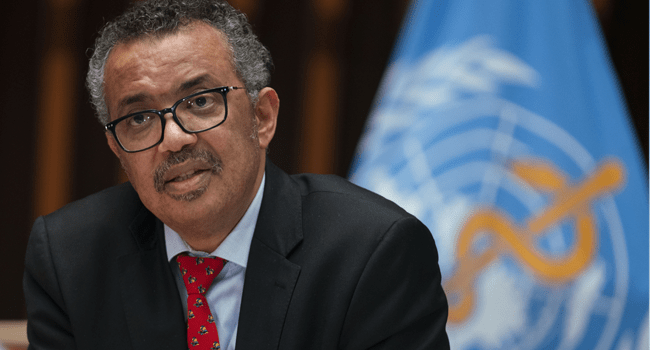 This handout image provided by the World Health Organization (WHO) on May 22, 2020 in Geneva shows WHO Director-General Tedros Adhanom Ghebreyesus attending the 147th session of the WHO Executive Board held virtually by videoconference, amid the COVID-19 pandemic, caused by the novel coronavirus. Christopher Black / World Health Organization / AFP